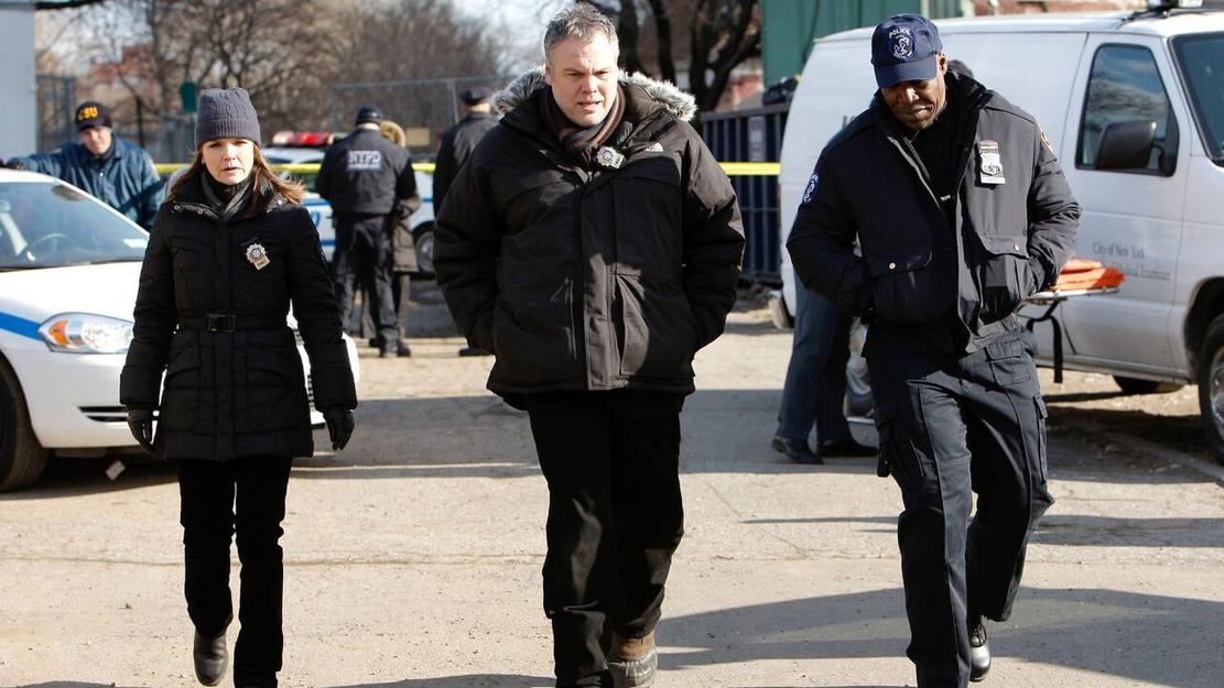 Vignette du programme télé New York, section criminelle